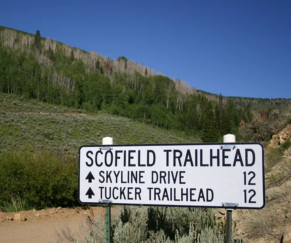Scofield ATV Trailhead to Skyline Drive and Tucker ATV Trailhead